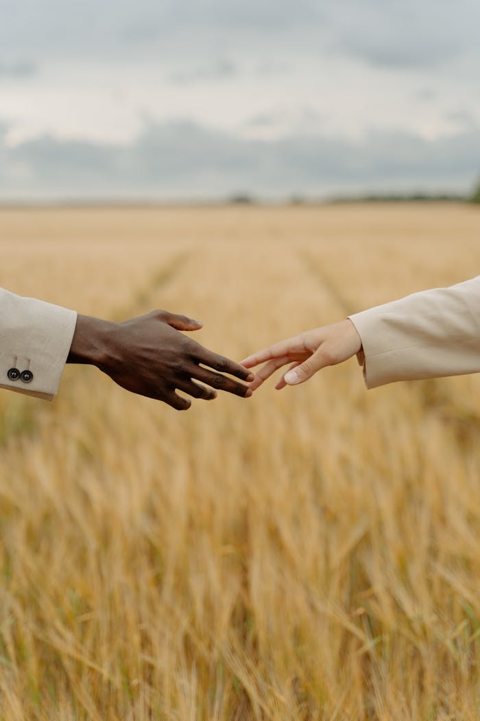 Two hands reaching out in a golden wheat field, symbolizing connection and diversity.